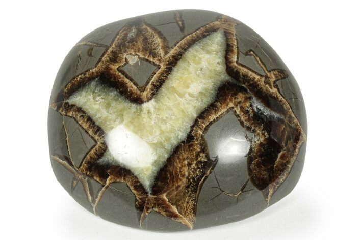 Beautiful Polished Septarian Nodule - Utah #242487